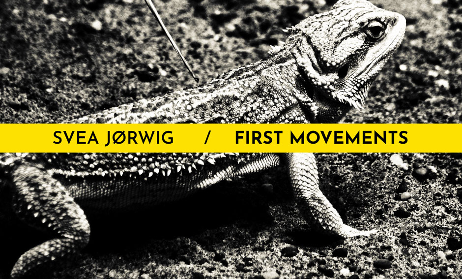 © Svea Jørwig - First Movements